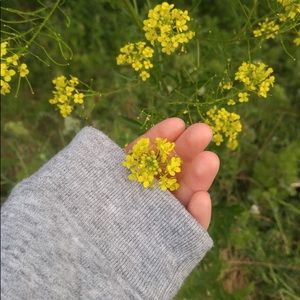 Meet your Posher, Elisa